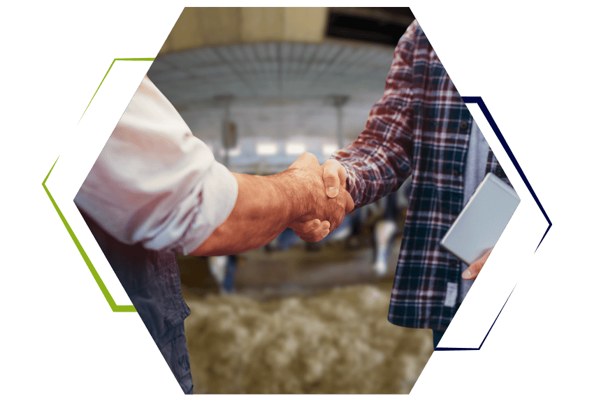 optimisation-suivi-commercial-eleveurs-gestion-agenda-planification-visites-suivi-recouvrement-automatisation-commandes-livraisons-solution-numerique-efficacite-equipe-commerciale-performance-techno-commercial