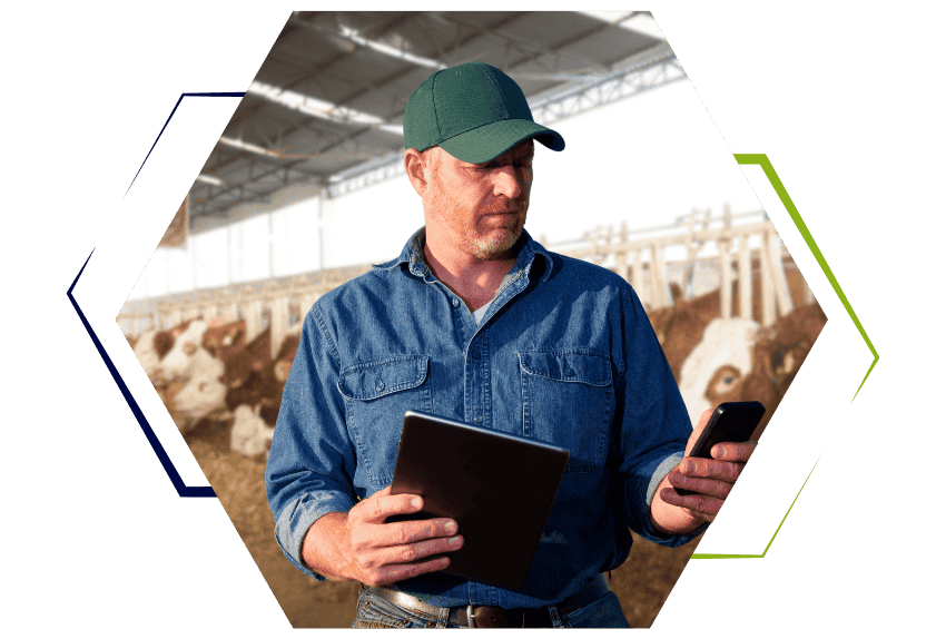 cooperative-bovins-viande-suivi-eleveurs-optimisation-equipe-commerciale-digitalisation-prise-de-commande-anticipation-besoins-eleveurs-vision-marche-performance-vente-gain-de-temps-evite-erreurs-strategie-commerciale