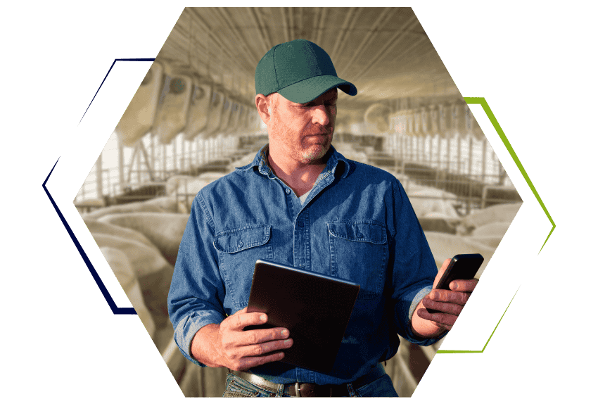 crm-porcin-digitalisation-equipe-commerciale-suivi-eleveurs-optimisation-ventes-prise-de-commande-terrain-gestion-tracabilite-vision-marche-performance-technique-gain-de-temps-evite-erreurs-strategie-commerciale-solution-cooperative-agricole