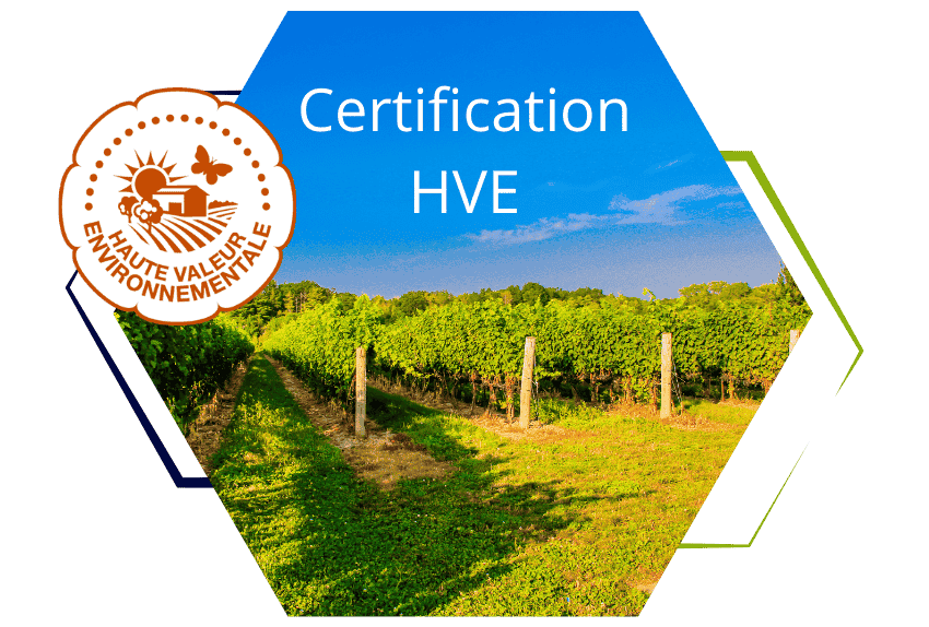certification-hve-viticulture-obligation-reglementaire-accompagnement-demarche-centralisation-donnees-parcellaires-biodiversite-traitements-phytosanitaires-fertilisation-irrigation-systeme-tracabilite-productions-vegetales-audit