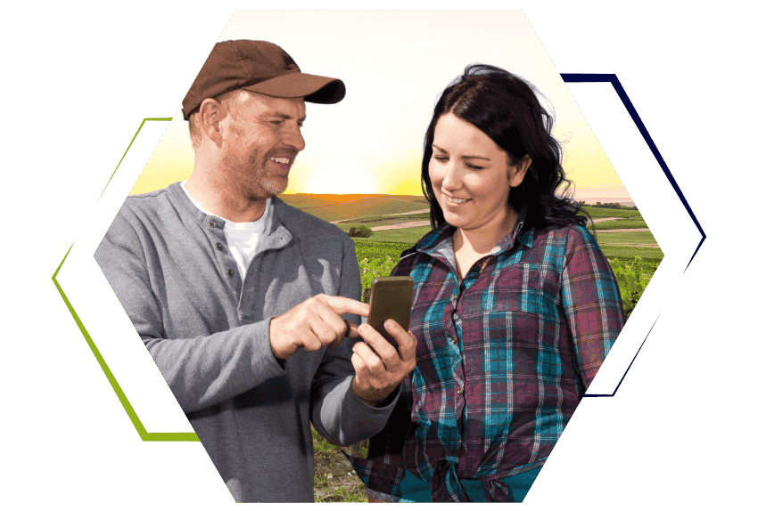 optimisation-suivi-commercial-viticulture-gestion-portefeuille-client-historique-commande-analyse-previsions-approvisionnement-qualification-exploitation-strategie-campagne-commerciale-outil-gestion-agenda-planification-visite-suivi-recouvrement-performance-vente