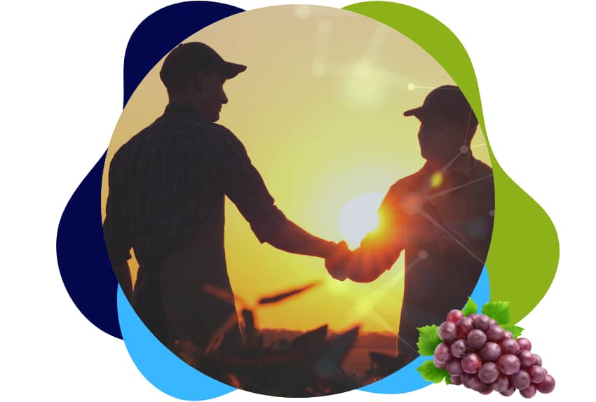 digitalisation de la relation avec les viticulteurs