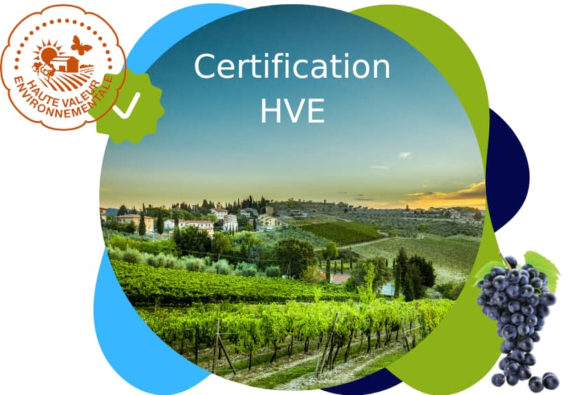 viticulture hve